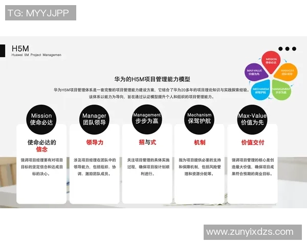 南京飞盘队的反击革新之路探索与未来展望